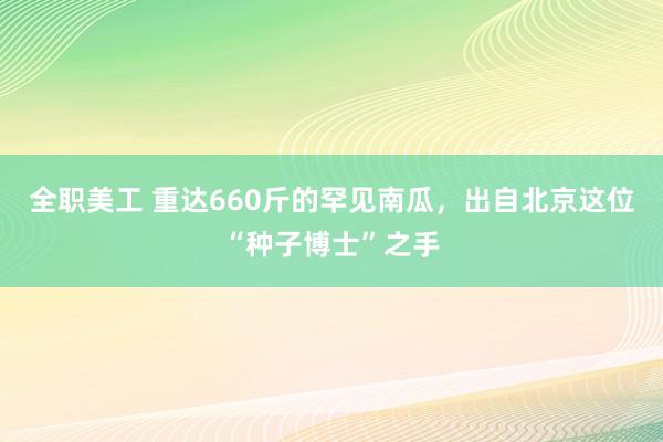 全职美工 重达660斤的罕见南瓜，出自北京这位“种子博士”之手